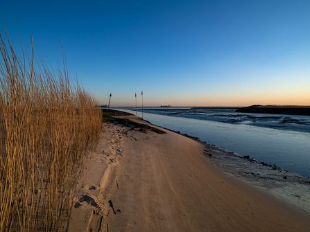 Blick über den Naturstrand Kap Jakob auf das Meer