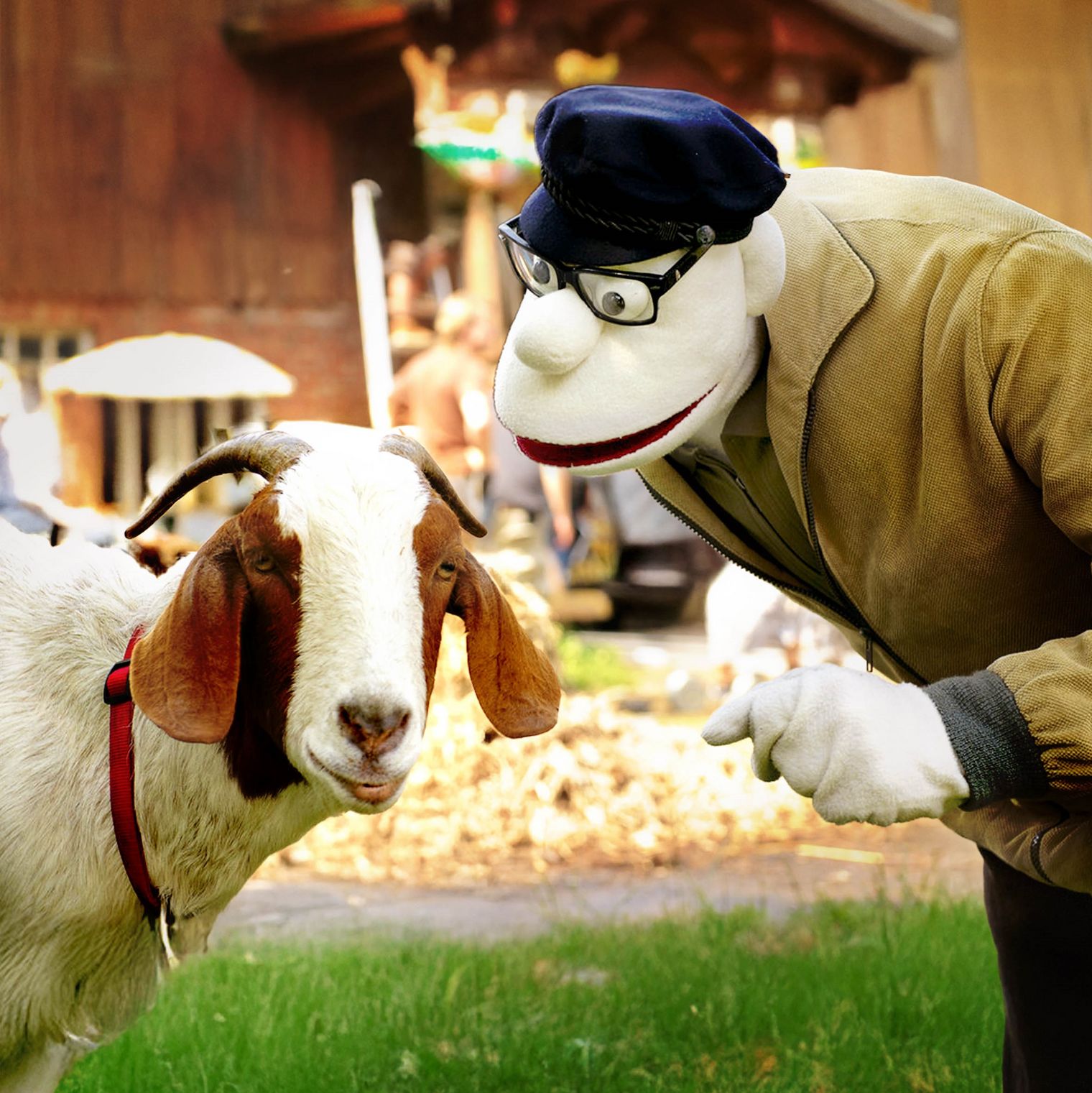 Pressefoto Momsen, Tiere, Sensationen