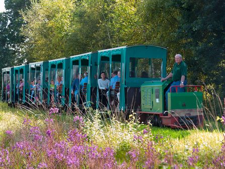 Fahrt in der Moorbahn durch das Ahlenmoor