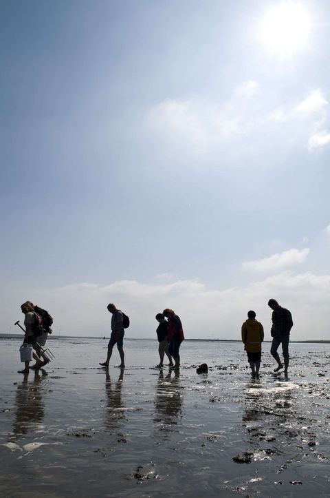 Gruppe im Watt im Nordseebad Otterndorf