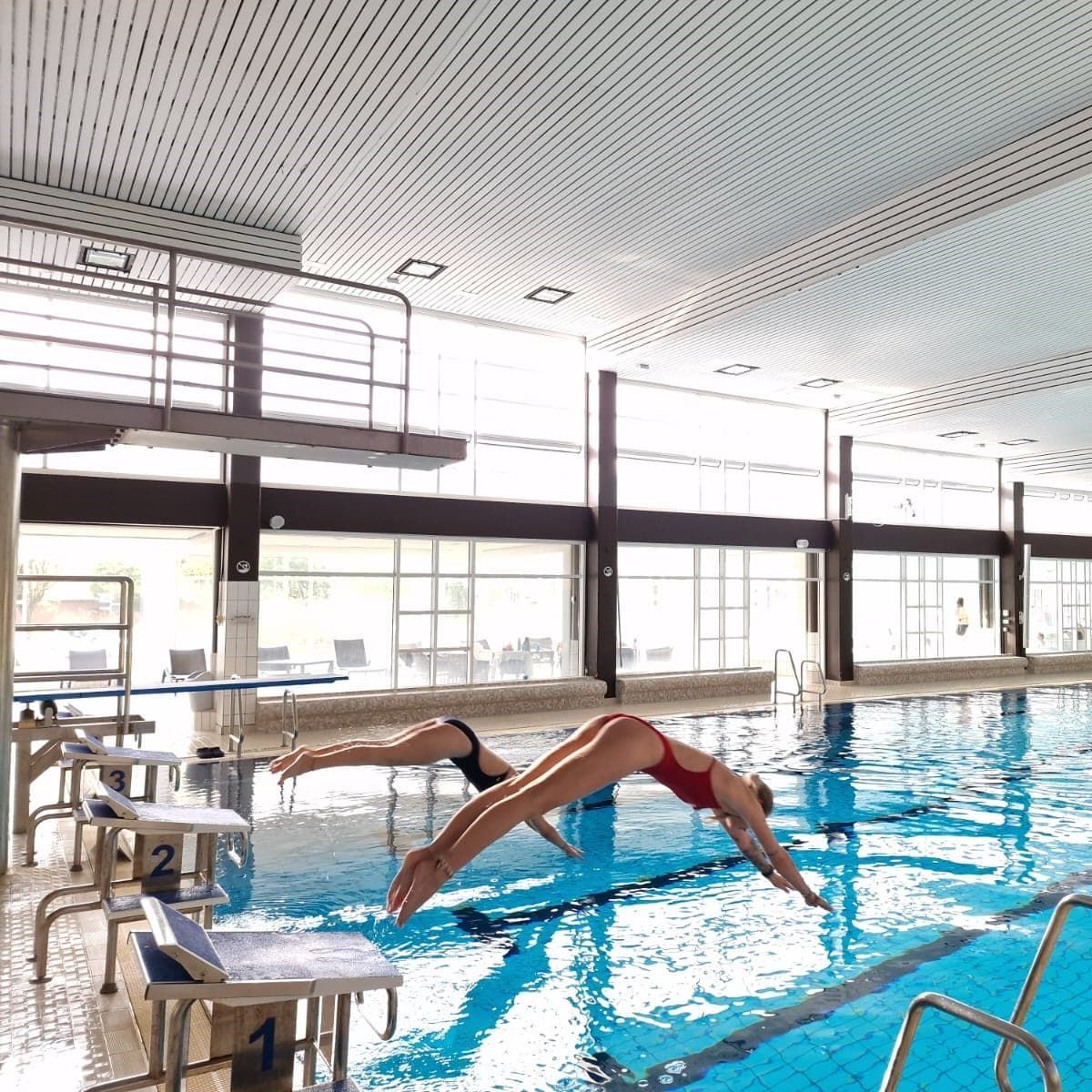 2 Sportlerin springen ins Schwimmbecken Sole-Therme Otterndorf