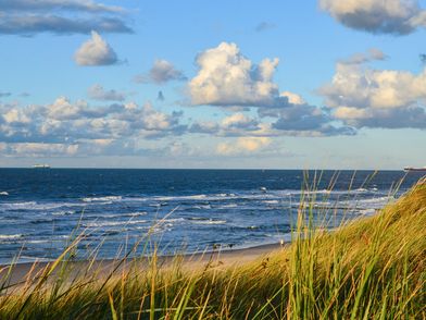 Barrierefreier alternativer Text