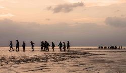 Wattführung bei Sonnenuntergang im Nordseebad Otterndorf