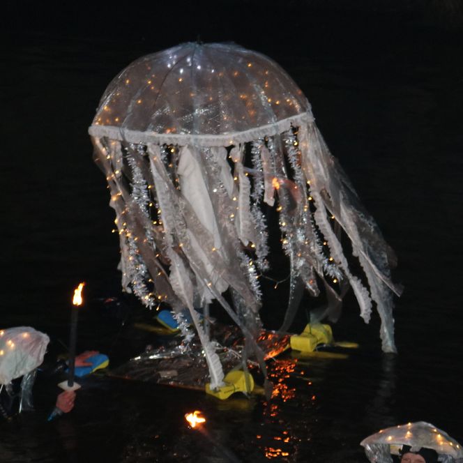 Taucher mit Quallen beim Fackelschwimmen im Nordseebad Otterndorf