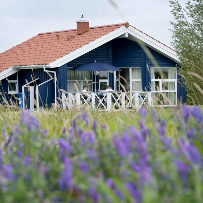 Ferienhaus im Ferienhausgebiet im Nordseebad Otterndorf